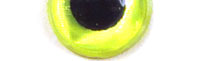 JMC® 3D Eyes - 6 mm - Chartreuse